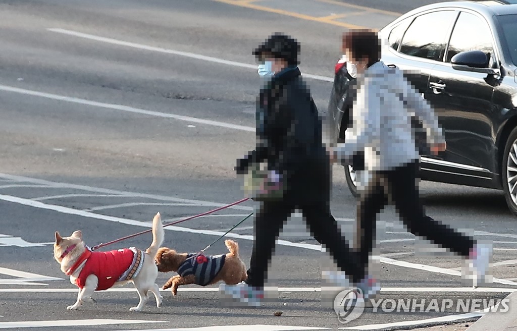 "키우다 포기하지 마세요"…반려동물 챙기는 지자체 늘어