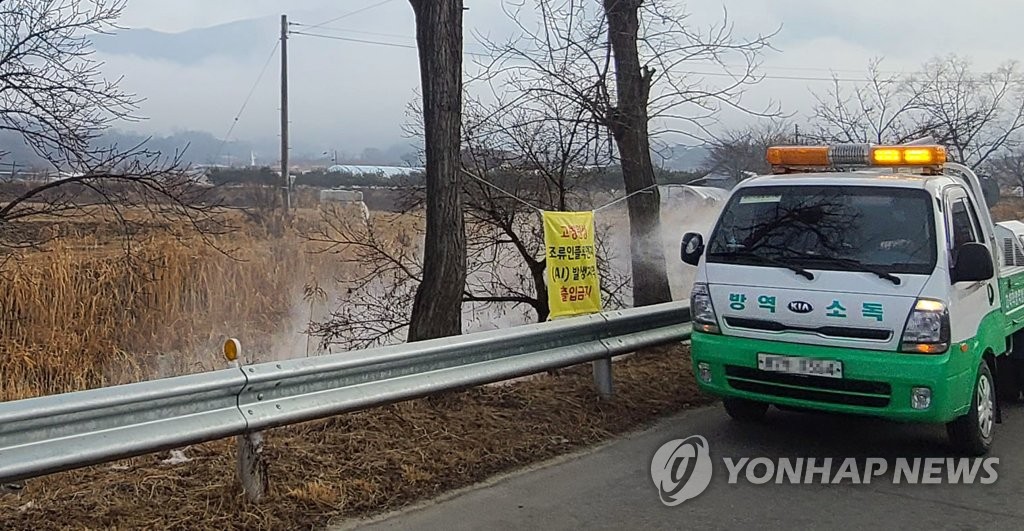 이달 11∼18일 고병원성 조류인플루엔자 25건 확진…누적 197건