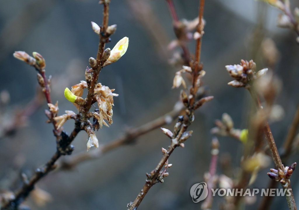 대구·경북 맑고 추위 물러가…낮 기온 6~11도