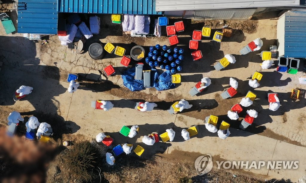 화성 AI 발생 농장 4곳으로 늘어…156만 마리 살처분