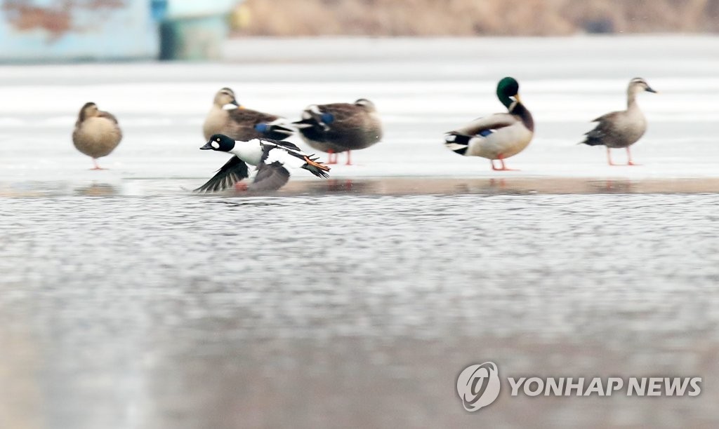 강원 8곳 한파주의보 해제…양양 등 9곳 건조주의보 유지