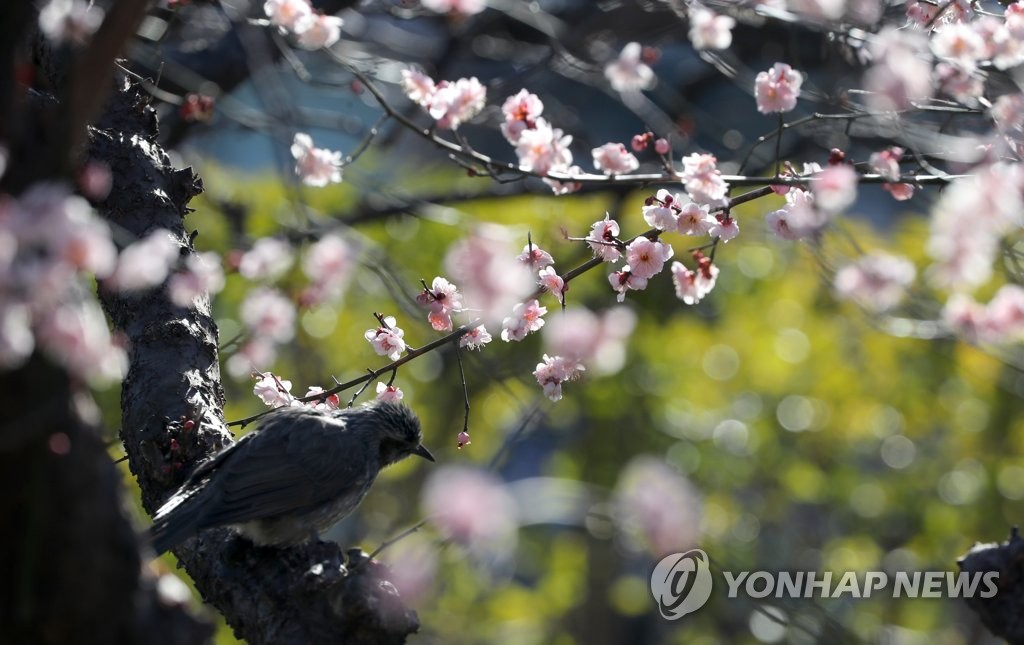 울산·경남 맑은 하늘에 한낮 포근…미세먼지 '나쁨'