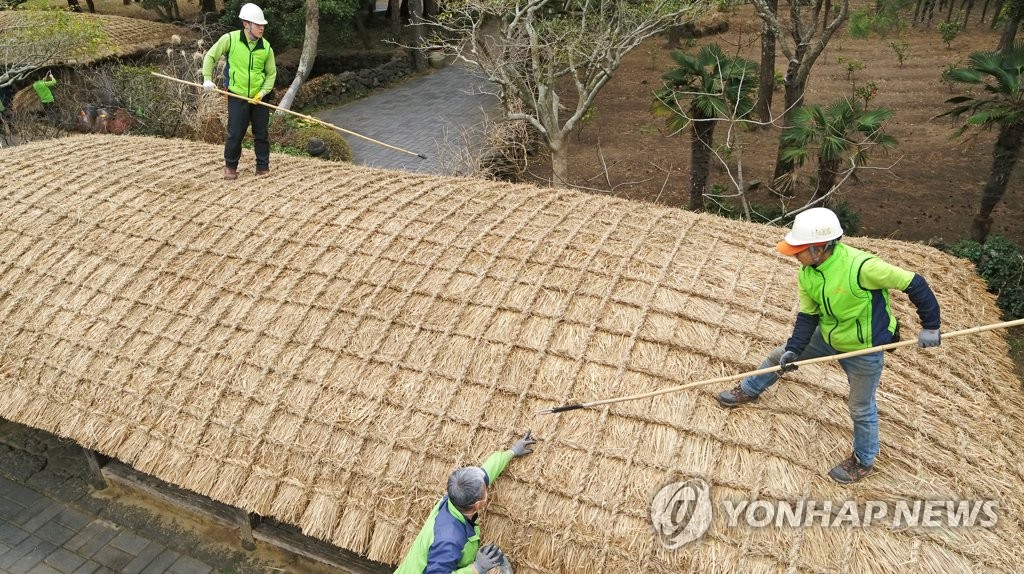 [픽! 제주] 한림공원 재암민속촌 초가 지붕잇기 '한창'