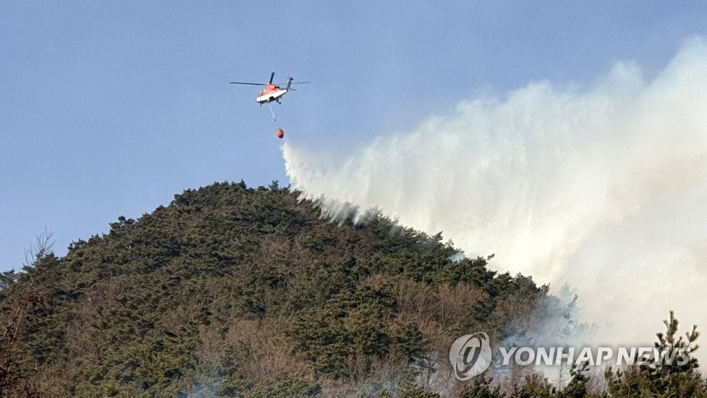 정선 북평면 국유림서 불…3시간 만에 진화(종합)