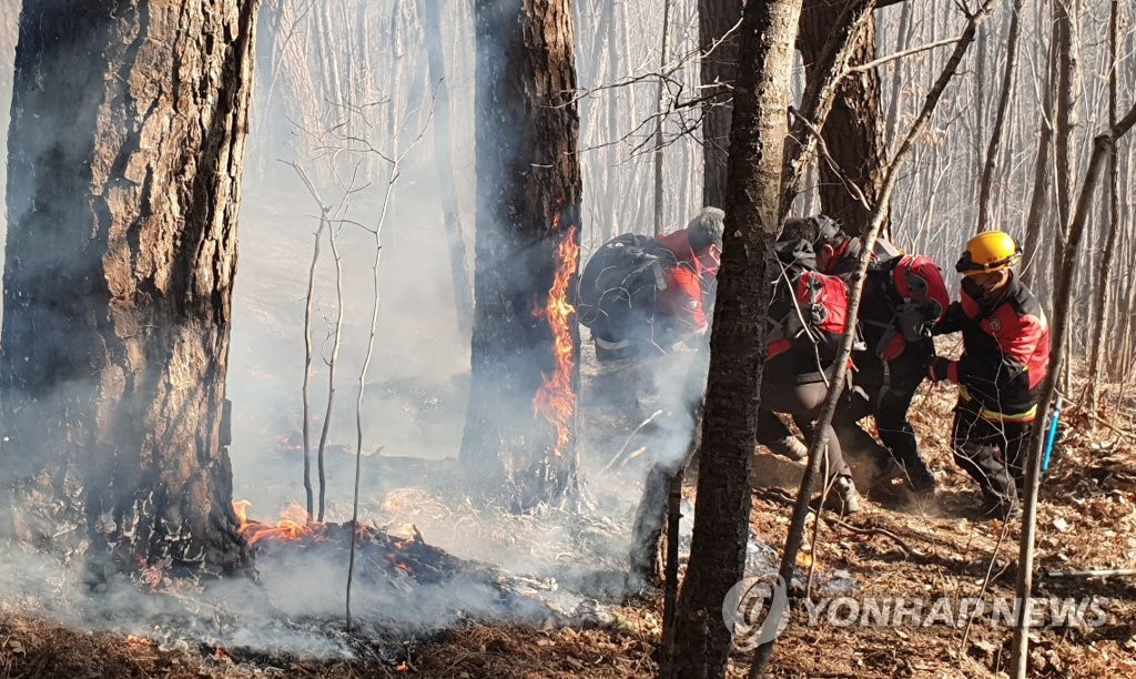 삼척 신기면 산불 3시간 만에 진화…산림 1㏊ 소실(종합)