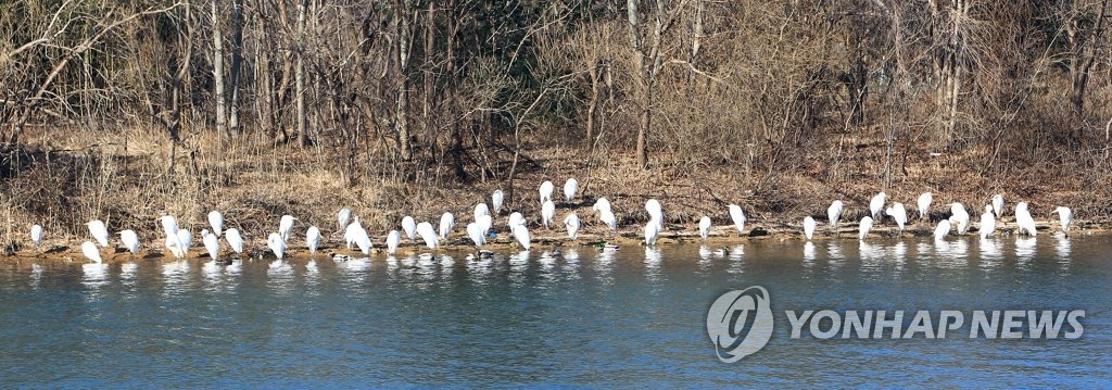 전북 고창에 대설주의보 해제…임실 등 4곳 한파주의보 유지