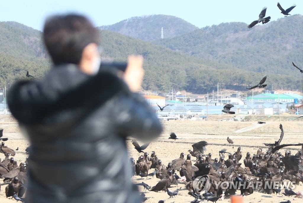 독수리와 함께 살기…'생태도시' 꿈꾸는 경남 고성군