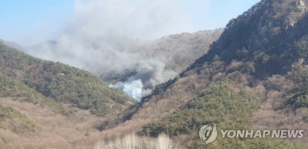 밀양 야산서 불…4시간 30분 만에 완진(종합)