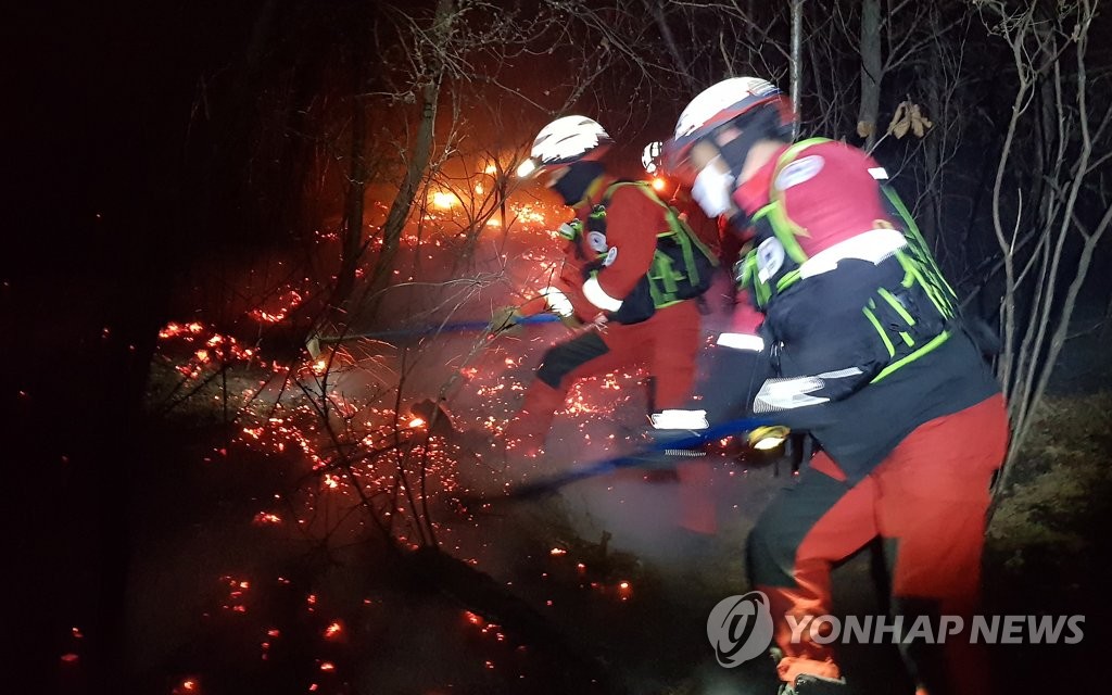 건조한 날씨 속 강풍…소방청, 화재 대응 태세 강화 지시