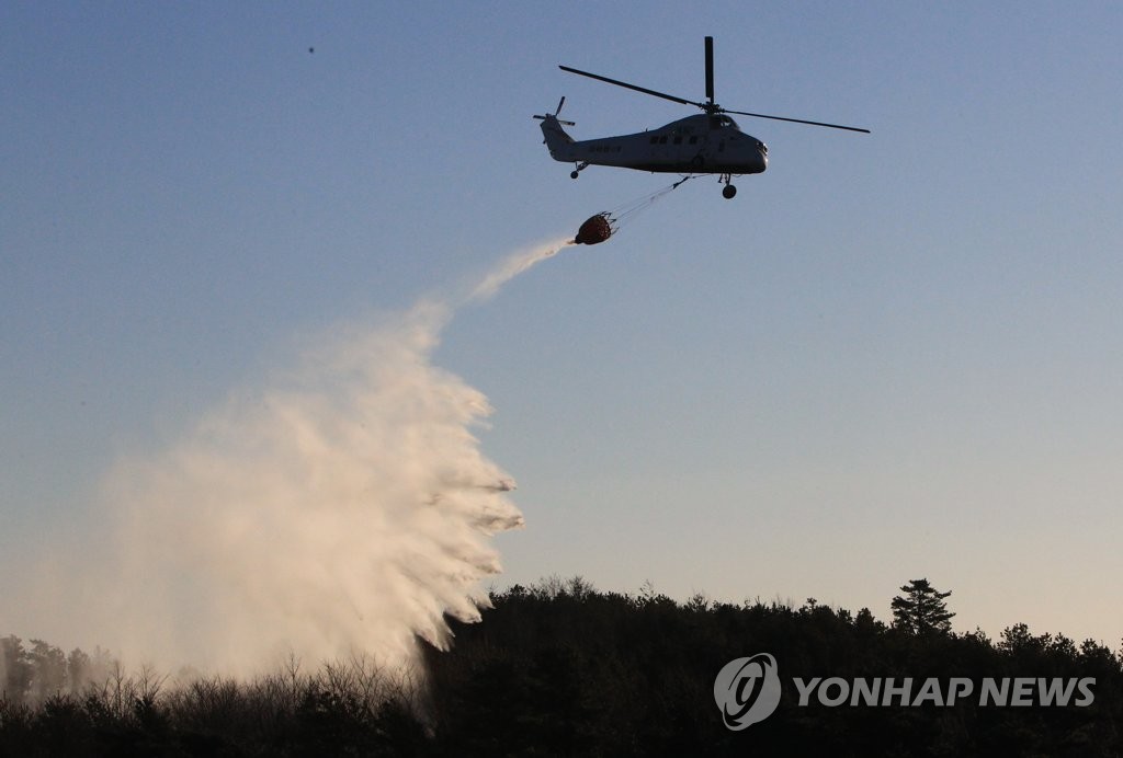 삼척 도계읍 전두리 야산에서 불…500㎡ 피해