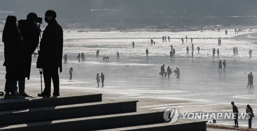 봄처럼 포근…전국 관광지 모처럼 북적, 동해엔 서핑족도