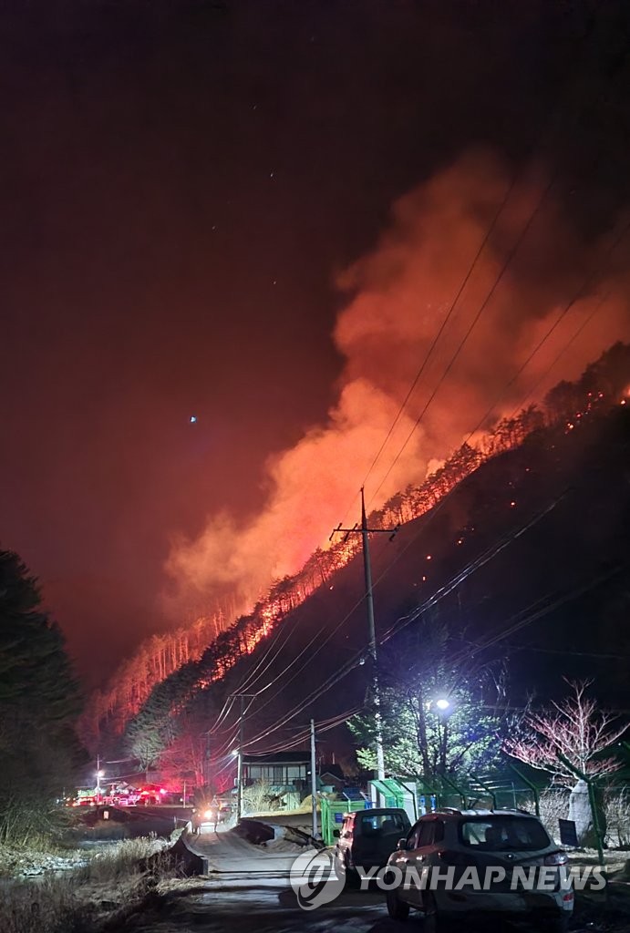 '급경사에 강풍까지' 정선산불 진화율 50％…11만㎡ 잿더미(종합2보)