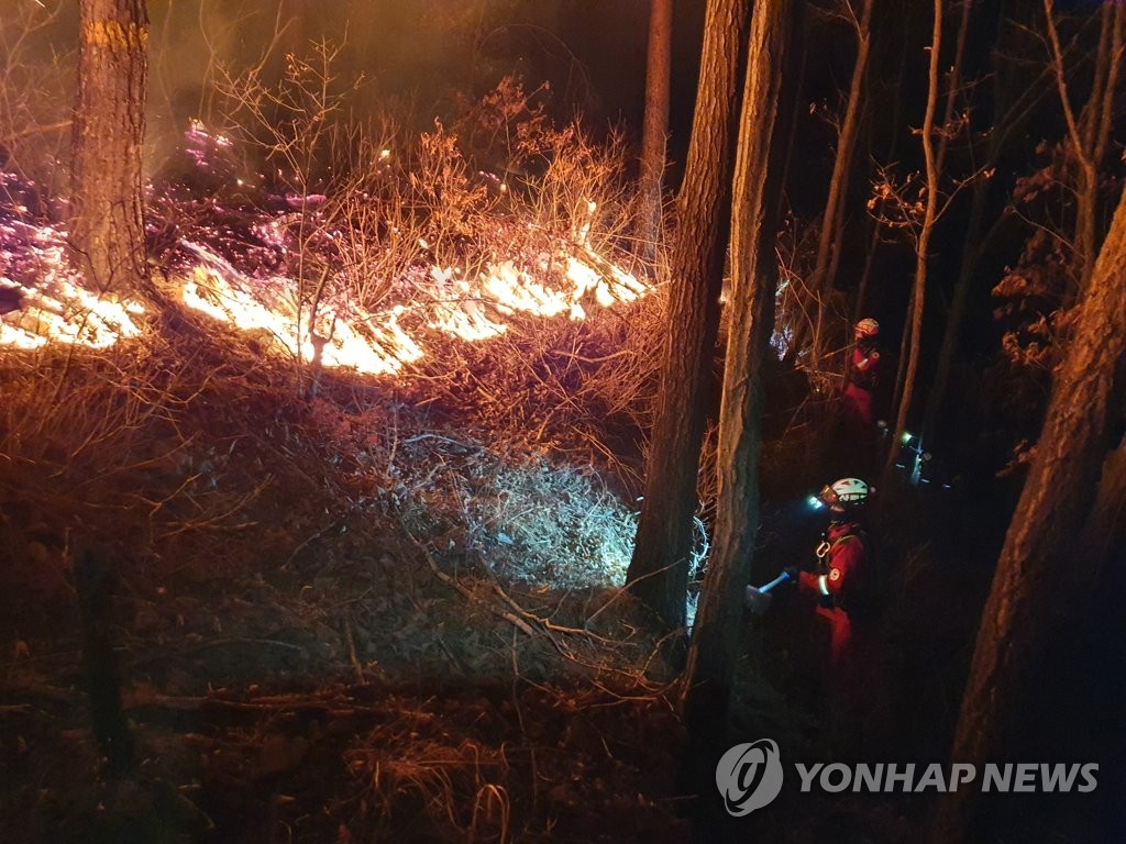 정선 산불 최전선에서 밤새 갈퀴질…방화선 구축 안간힘