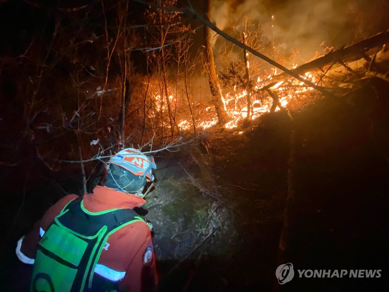 정선 산불 최전선에서 밤새 갈퀴질…방화선 구축 안간힘