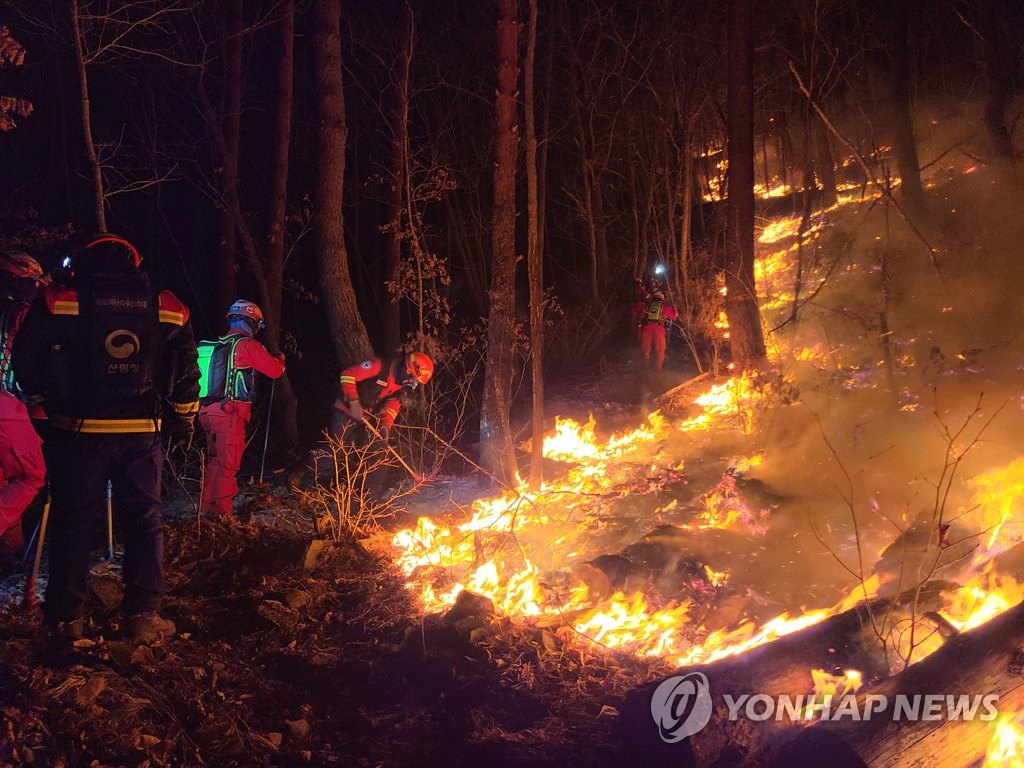 정선 산불 최전선에서 밤새 갈퀴질…방화선 구축 안간힘