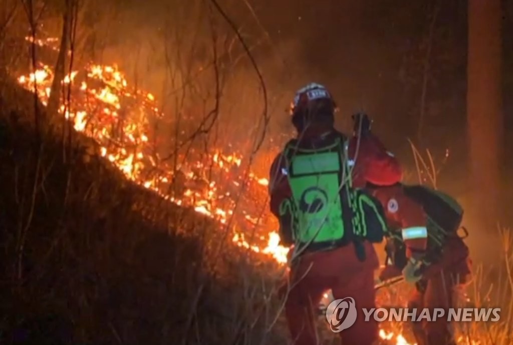 '괜찮겠지' 무심코 소각하다 산불 활활…전과자 신세 전락