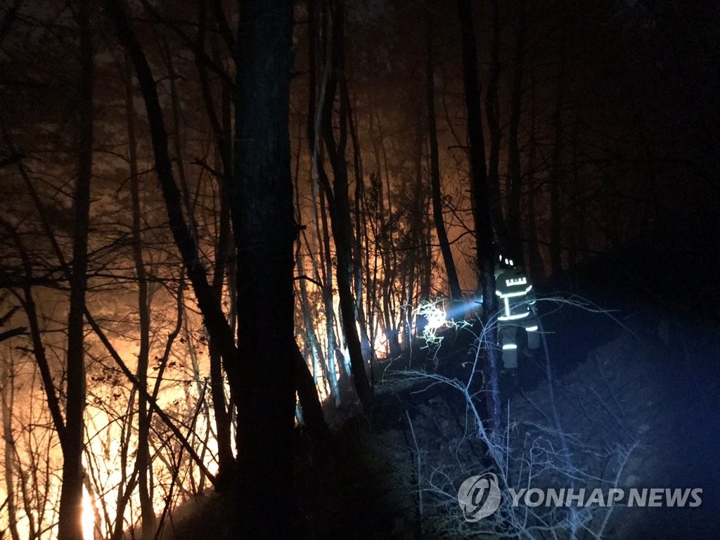 이례적 2월 동시다발 산불…건조한 대기와 강풍이 피해 키워