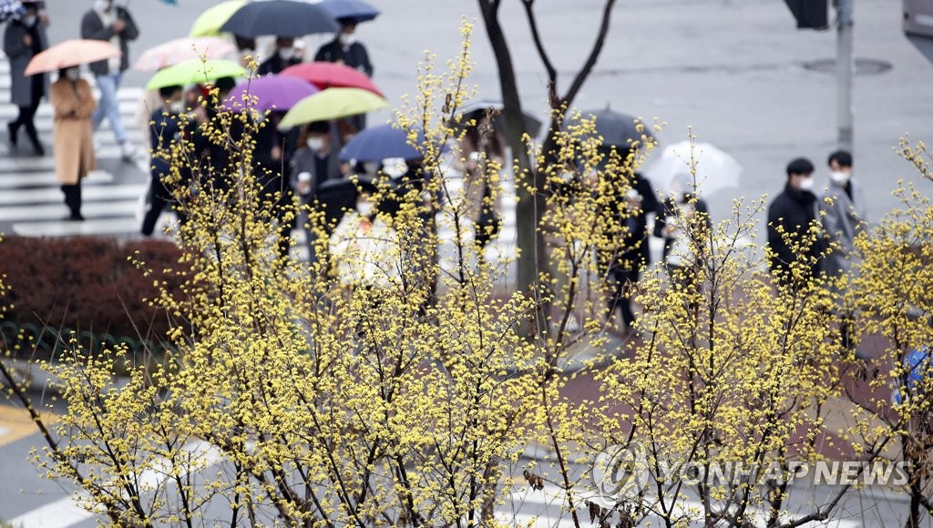 "봄기운 즐기자"…연휴 첫날 전국 관광지 행락객으로 북적
