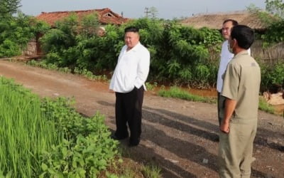 북한 벼 재배면적은 남한의 74%…어떻게 조사했을까?