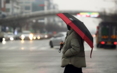 [내일날씨] 전국 대체로 흐리고 비…일부 지역 눈 소식도