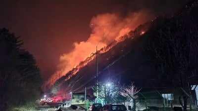 정선 산불 진화 '난항'…야간 진화체제 전환