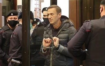 "나발니, 모스크바 인근 교도소 이송될 듯"…집유 취소 판결로