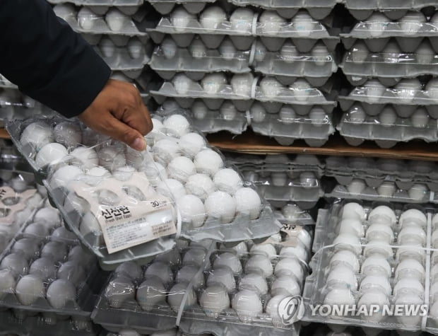 '금달걀' 도매가마저 6천원 육박…대형마트서도 미국산 판매