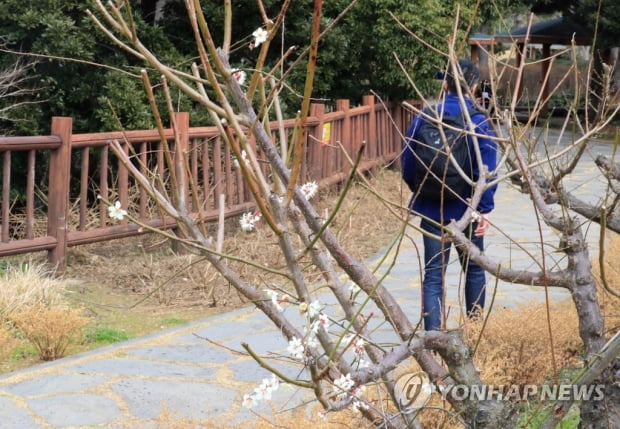 [날씨] 포근한 주말 …중서부·영남 일부 미세먼지