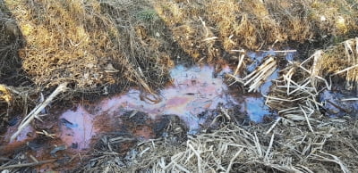 군산 주한미군 비행장 인근서 기름띠 발견…토양 시료 분석