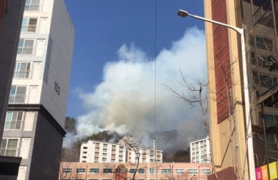 건조한 날씨에 광양 가야산서 산불…진화중