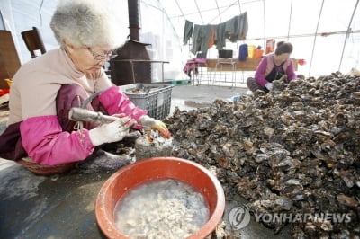 내달부터 경영권 넘기는 고령 어부에 연평균소득 60% 지원