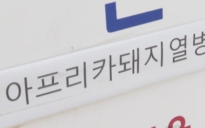 강릉서 첫 돼지열병…동해안 일대 확산 우려