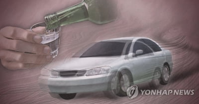 음주운전자 차량 도로 시설물 충격…동승자 숨져