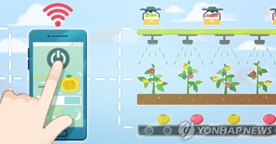 강원농기원 스마트 영농설비 춘천·화천·양구에 조성