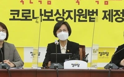 '비대위 체제' 정의, 내달 23일 새 대표 선출 가닥