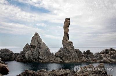 해수부 2021어촌뉴딜 선도사업지에 '삼척 초곡항' 선정