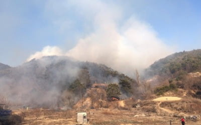 전해철 행안장관 "안동 산불 피해 최소화…인명피해 없도록"