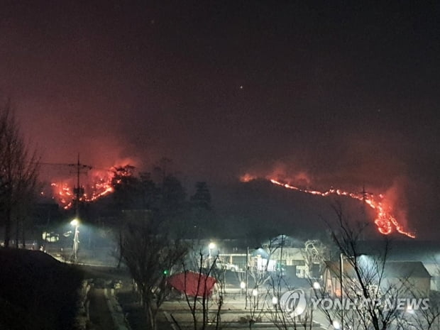 안동·예천서 산불, 바람 타고 번져…밤새 확산 차단에 주력