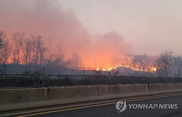 안동·예천서 산불, 바람 타고 번져…밤새 확산 차단에 주력