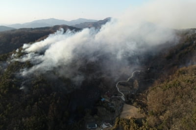 3㎞ 구간 퍼졌던 영동 매곡 산불 17시간 만에 진화