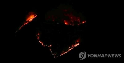 충남 논산 야산 불로 주민 한때 대피…14시간 만에 진화(종합)