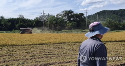 철원군, 지역 농가에 농업정책보험 적극 가입 권장