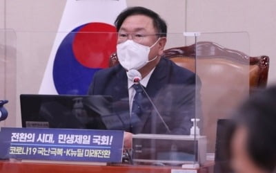 與 "4차 재난지원금 신속히…내달 18일 추경안 처리"