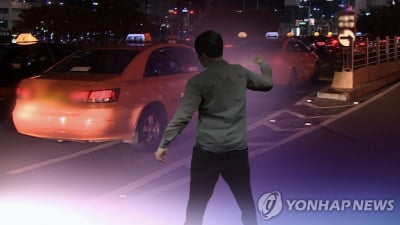 운전 중인 택시기사 때리고 달아난 50대 중국 동포 체포