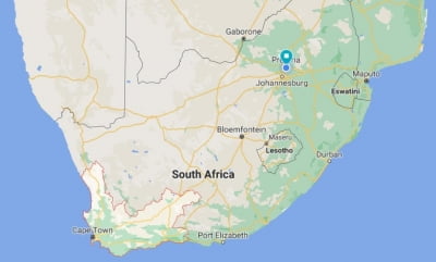 남아공 웨스턴케이프서도 아프리카돼지열병 발병