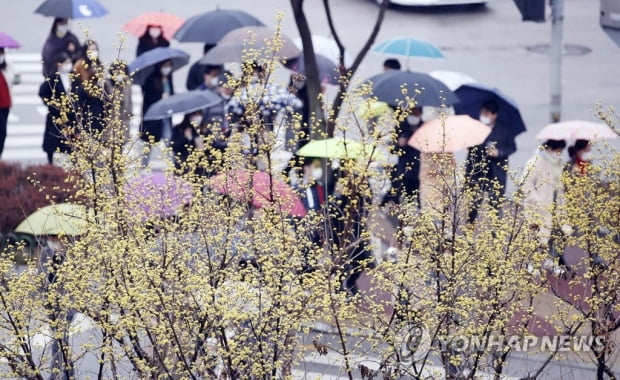 [날씨] 3·1절 전국 흐리고 비…강원 등 일부 눈