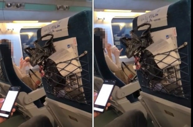 KTX 열차 안에서 방역수칙을 어기고 음식물을 섭취한 승객이 소란까지 피운 사실이 알려져 네티즌들의 눈살을 찌푸리게 했다./사진=온라인커뮤니티 캡처