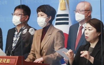 野 "LH 직원 투기에 국민 분노…3기 신도시 전체 조사해야"