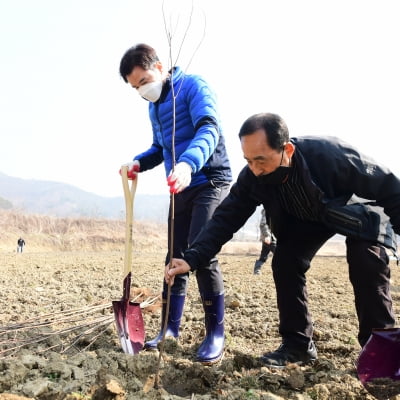 화성시, 지역 양봉농가 소득향상과 양봉산업 육성 '밀원수 식재행사' 개최