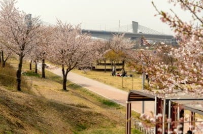 "공철타고 봄 나들이"...공항철도, 인증사진 이벤트